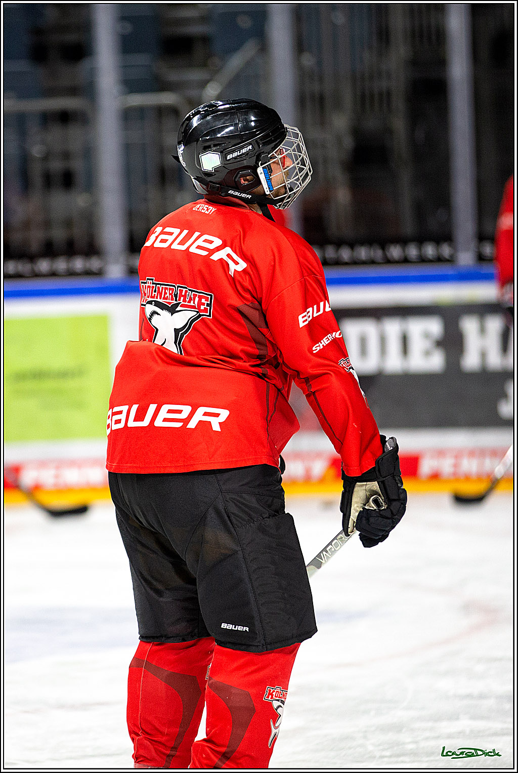 PENNY DEL; Koelner Haie- Red BUll Muenchen Sponsorenspiel; Koeln, 08.11.2022